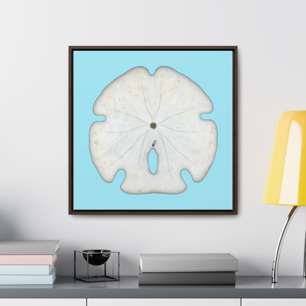 Arrowhead Sand Dollar Shell Bottom | Framed Canvas | Sky Blue Background