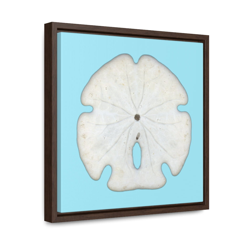 Arrowhead Sand Dollar Shell Bottom | Framed Canvas | Sky Blue Background