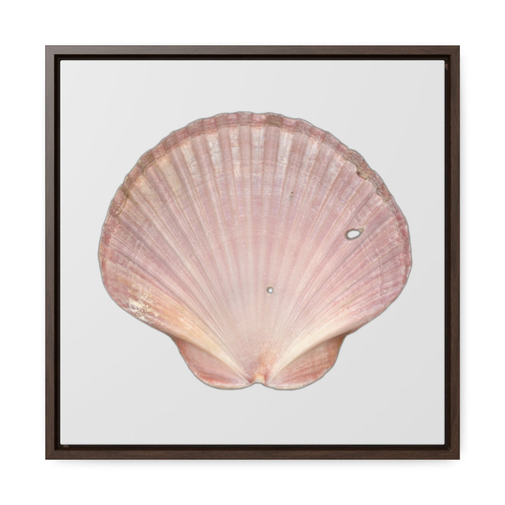 Scallop Shell Magenta Left Interior | Framed Canvas | Silver Background