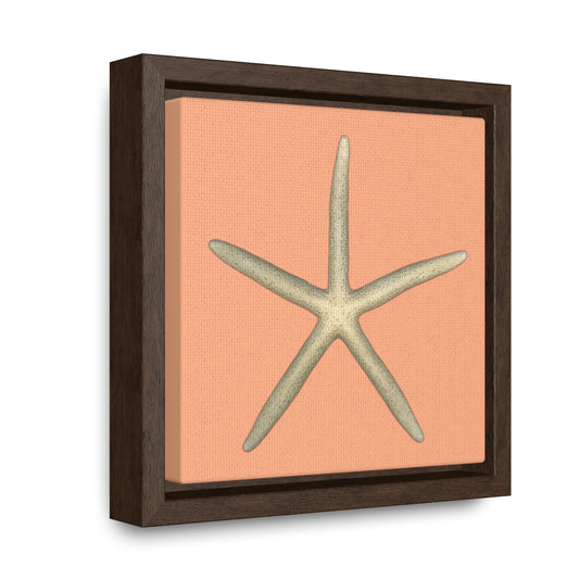 Finger Starfish Shell Top | Framed Canvas | Peach Background