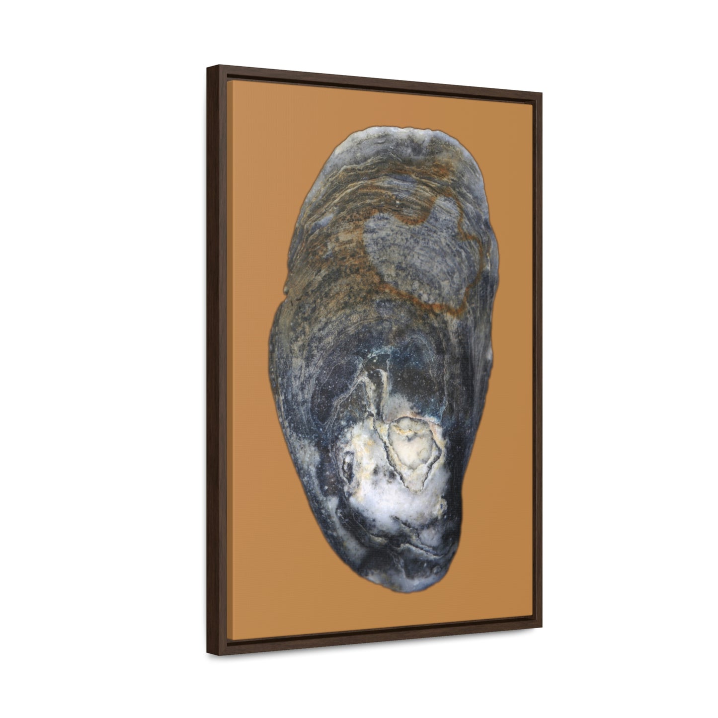 Oyster Shell Blue Right Exterior | Framed Canvas | Camel Brown Background