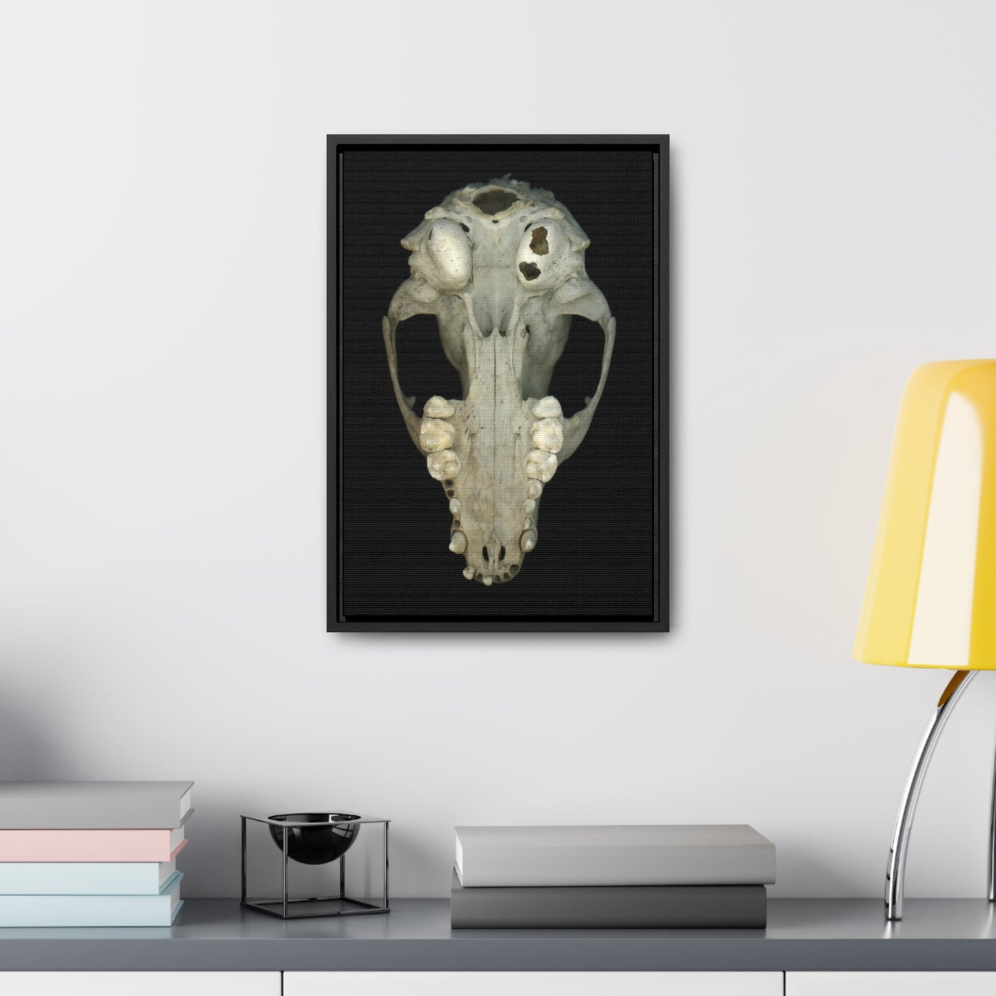 Raccoon Skull Inferior by Matteo | Framed Wrap Canvas | Black Background