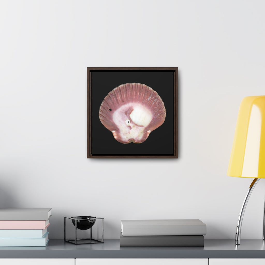 Scallop Shell Magenta Left Exterior | Framed Canvas | Black Background