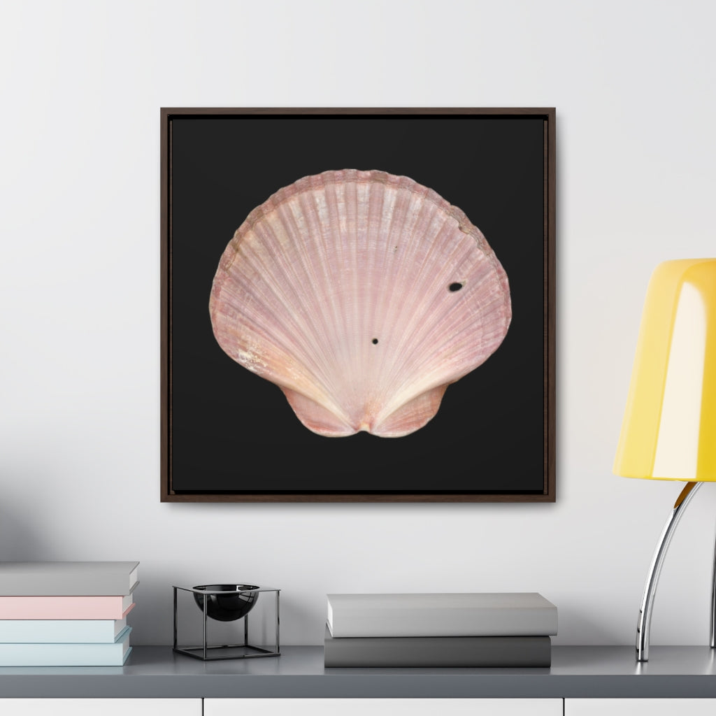 Scallop Shell Magenta Left Interior | Framed Canvas | Black Background