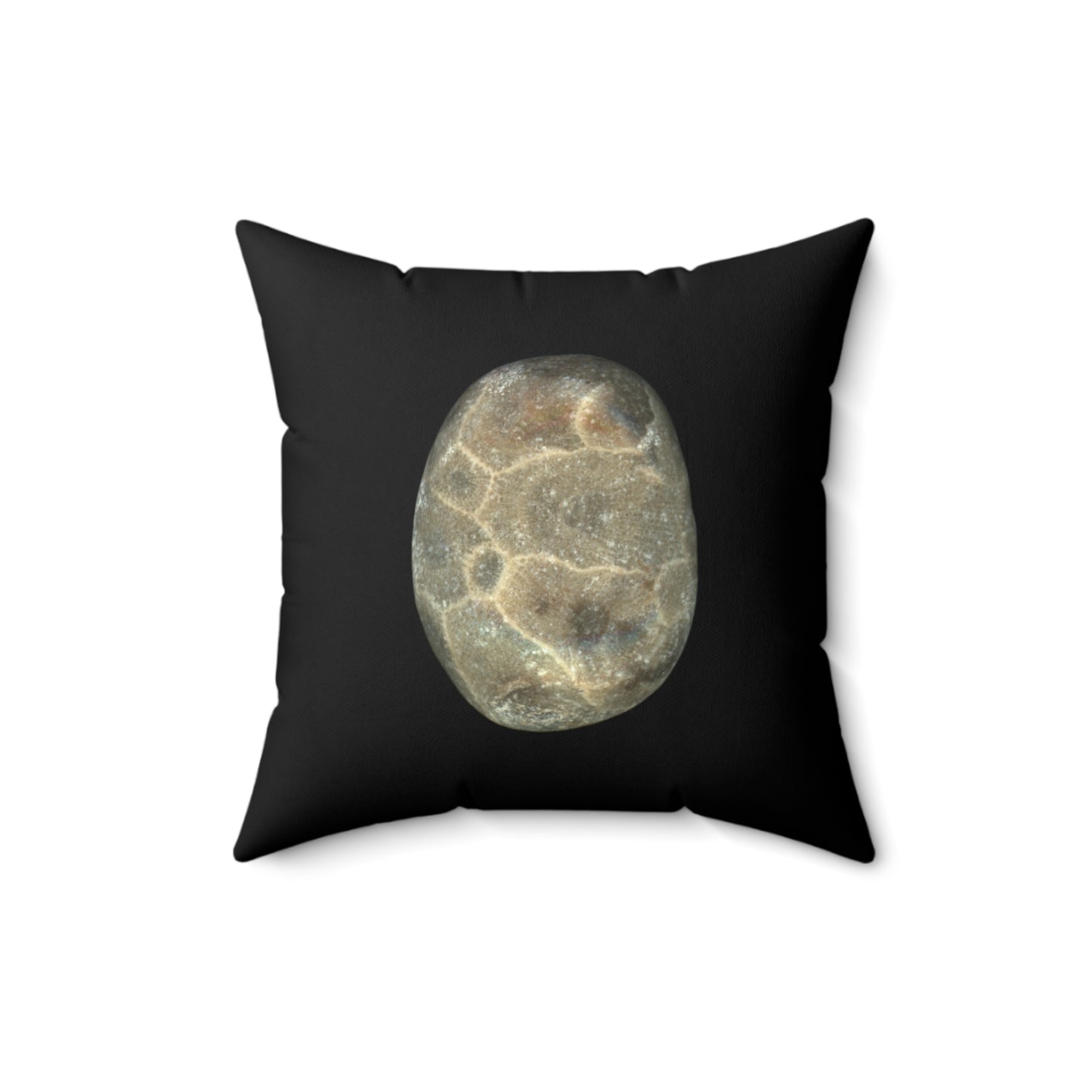 Petoskey Stone | Throw Pillow | Black