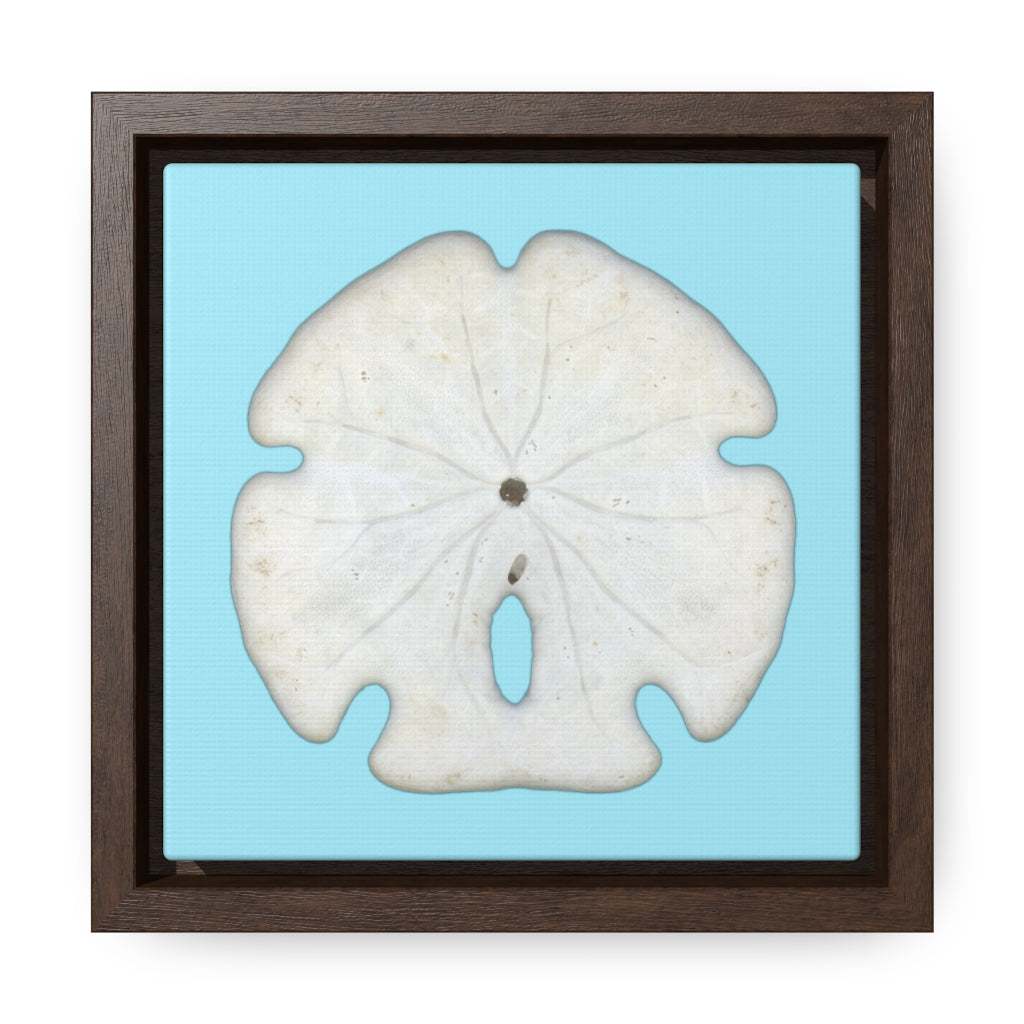 Arrowhead Sand Dollar Shell Bottom | Framed Canvas | Sky Blue Background