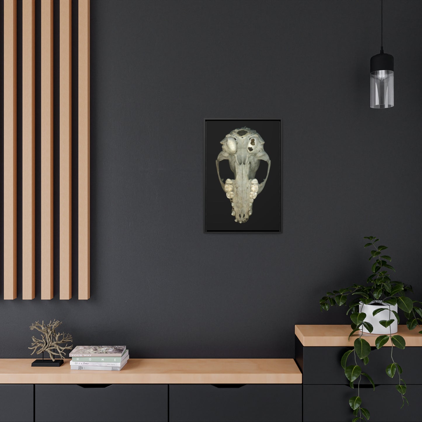 Raccoon Skull Inferior by Matteo | Framed Wrap Canvas | Black Background