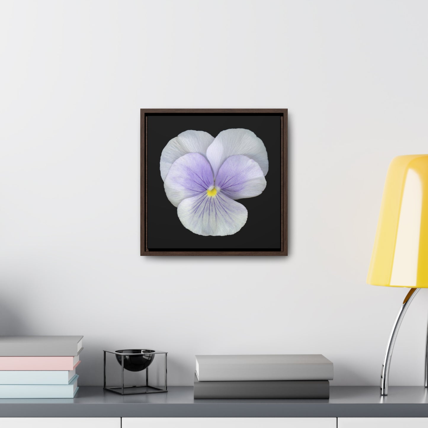 Pansy Viola Flower Lavender | Framed Canvas | Black Background