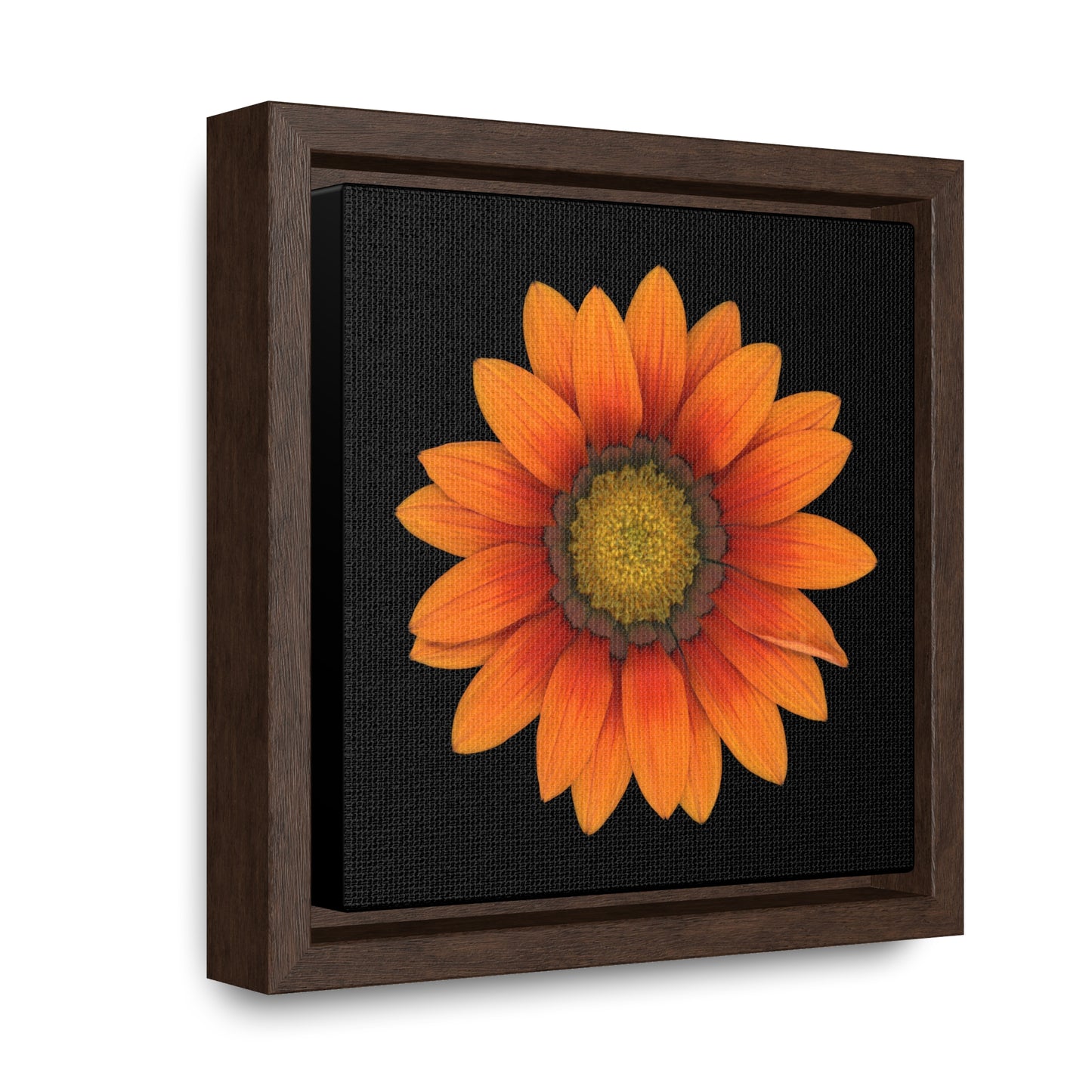 Gazania Flower Orange | Framed Canvas | Black Background