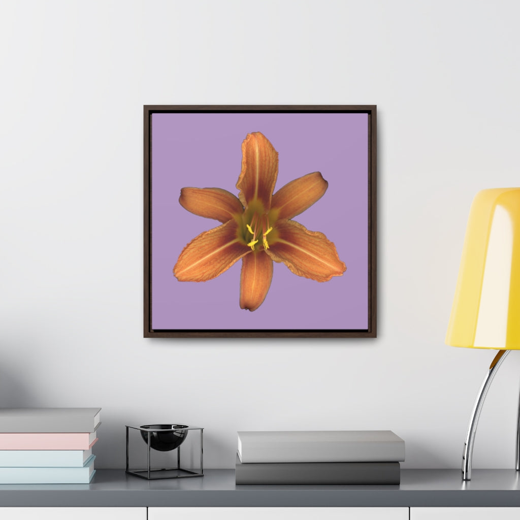 Orange Daylily Flower | Framed Canvas | Lavender Background