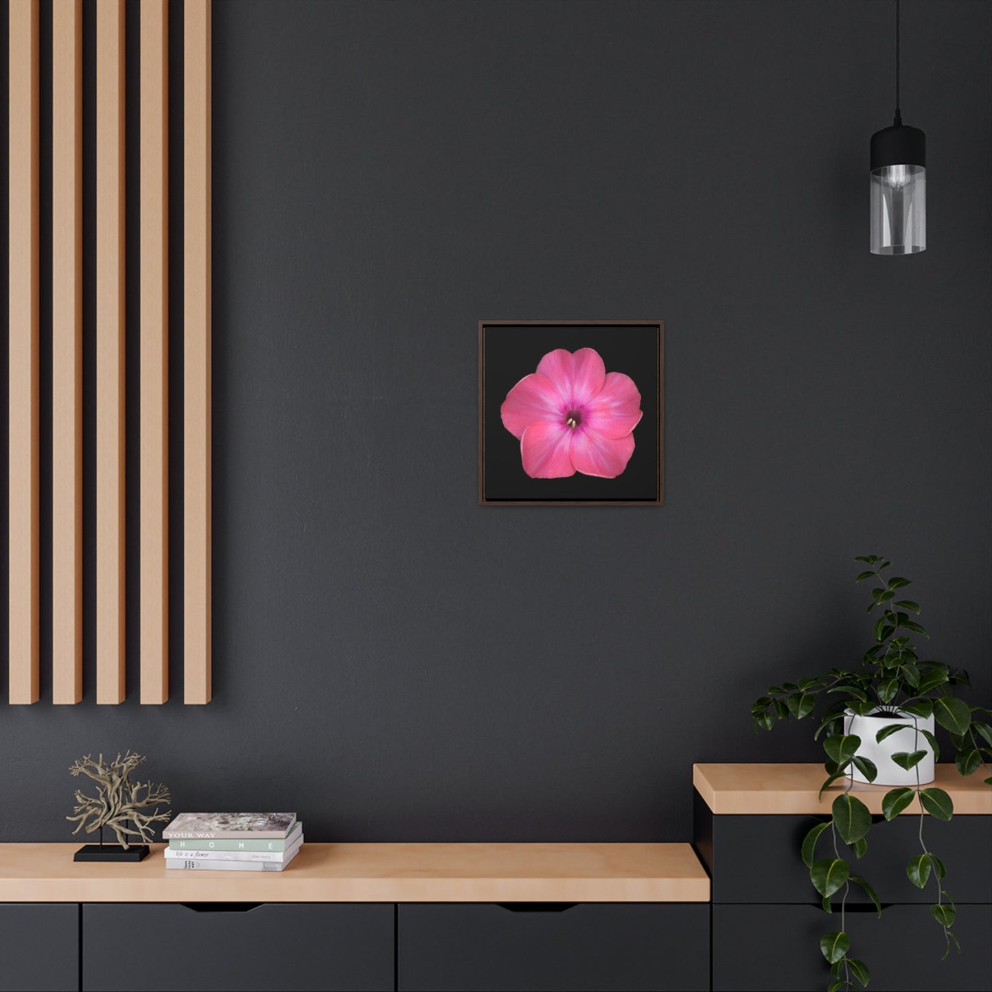 Phlox Flower Detail Pink | Framed Canvas | Black Background