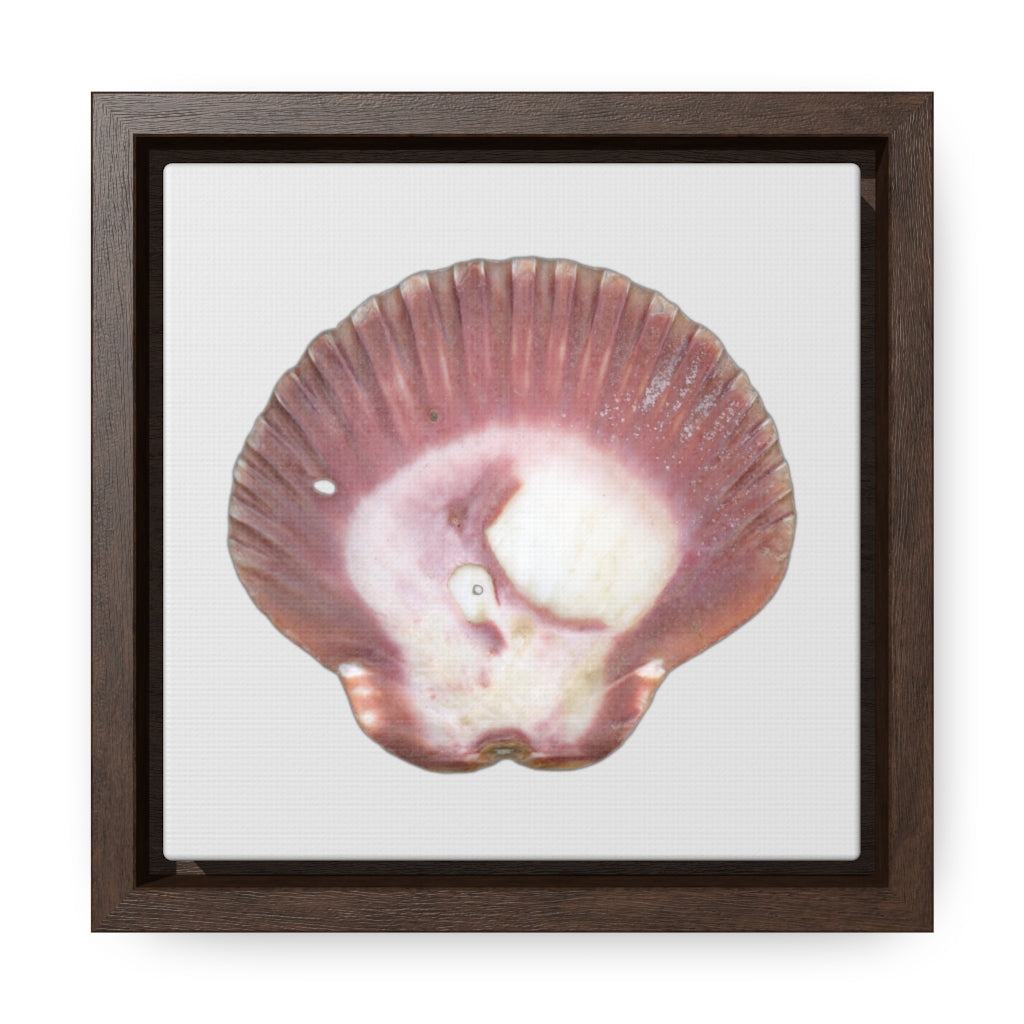 Scallop Shell Magenta Left Exterior | Framed Canvas | Silver Background