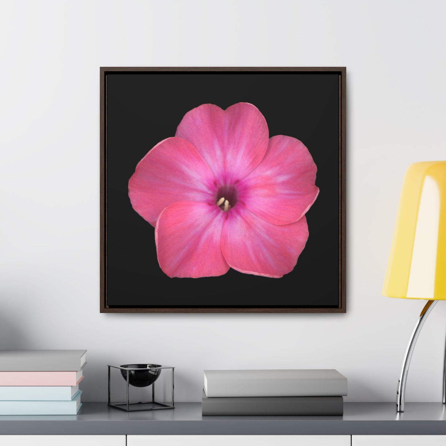 Phlox Flower Detail Pink | Framed Canvas | Black Background