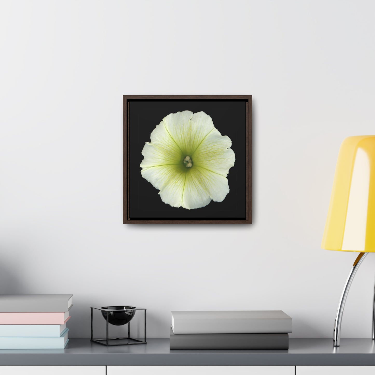 Petunia Flower Yellow-Green | Framed Canvas | Black Background