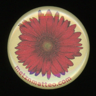 Gerbera Daisy Flower | Pinback Button | 1in