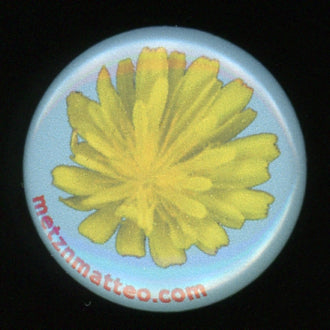 Hawkweed Flower | Pinback Button | 1in