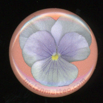 Pansy Viola Flower | Pinback Button | 1in