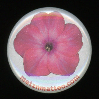 Phlox Flower Detail | Pinback Button | 1in