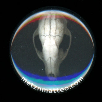 Raccoon Skull Superior | Pinback Button | 1in
