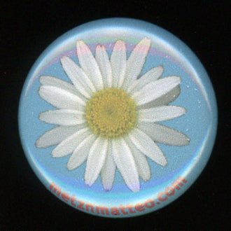 Shasta Daisy Flower | Pinback Button | 1in