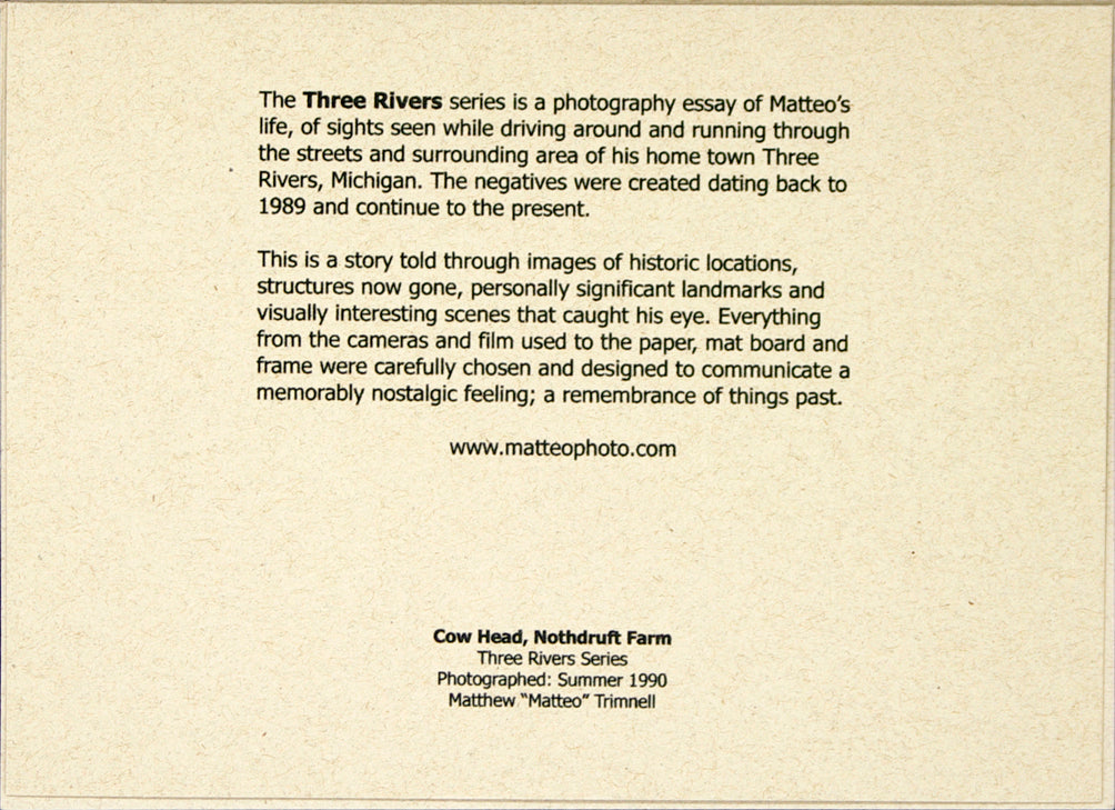 Three Rivers series, Cow Head, Nothdruft Farm by Matteo