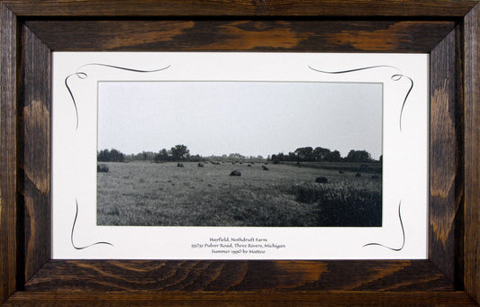 Three Rivers series, Hayfield, Nothdruft Farm by Matteo