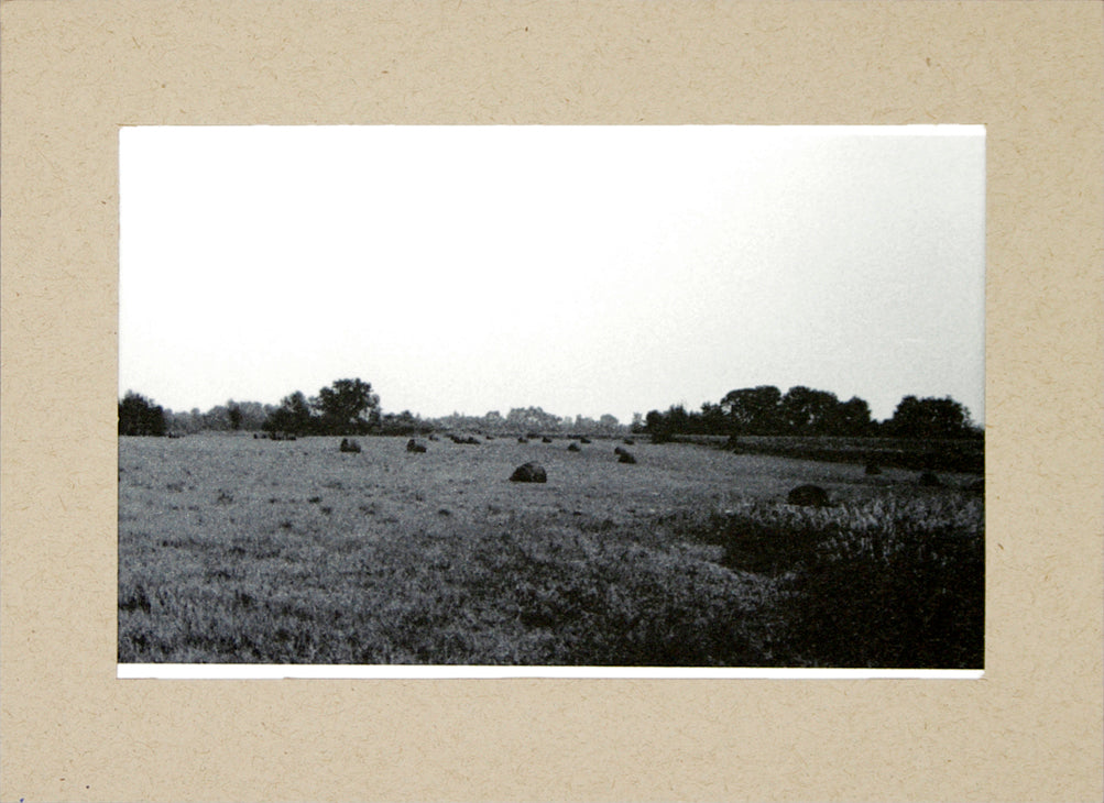 Three Rivers series, Hayfield, Nothdruft Farm by Matteo