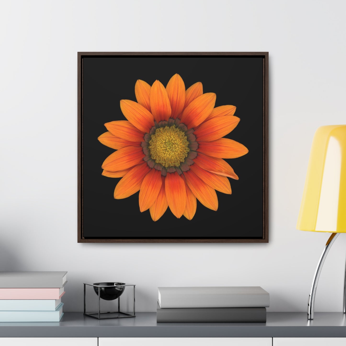 Gazania Flower Orange | Framed Canvas | Black Background