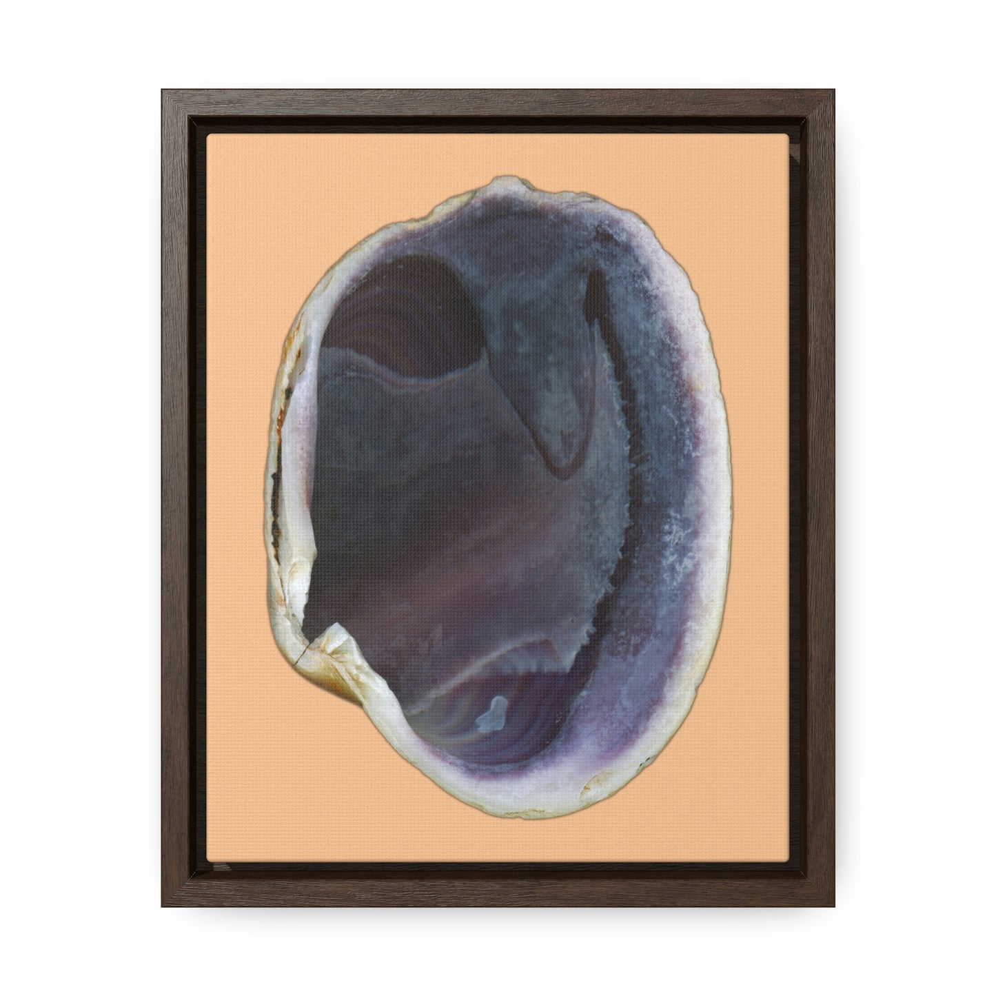 Quahog Clam Shell Purple Right Interior | Framed Canvas | Desert Tan Background