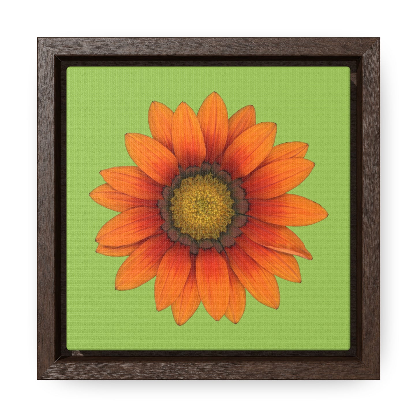 Gazania Flower Orange | Framed Canvas | Pistachio Green Background