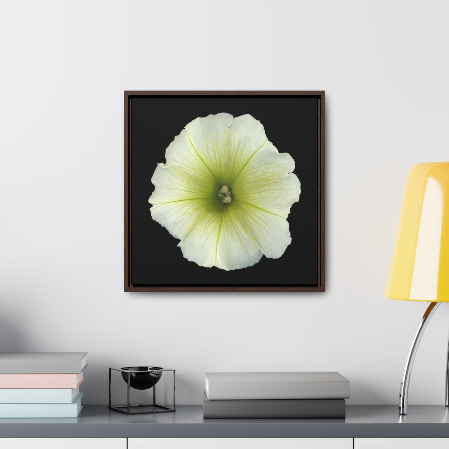 Petunia Flower Yellow-Green | Framed Canvas | Black Background