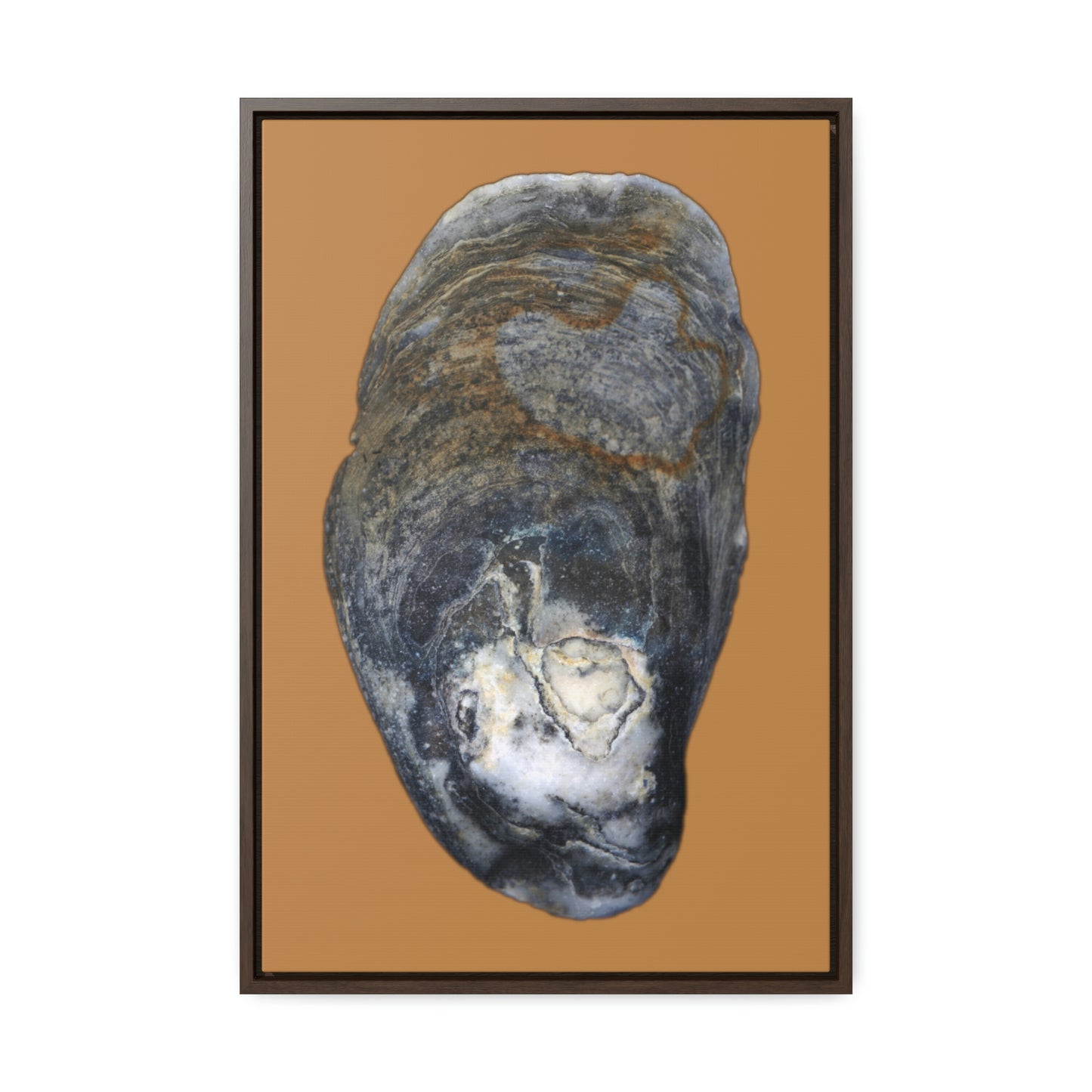 Oyster Shell Blue Right Exterior | Framed Canvas | Camel Brown Background