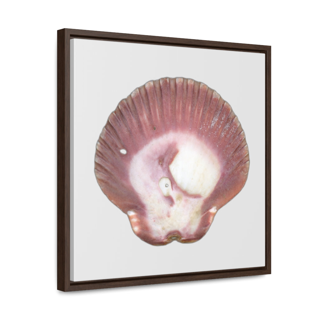 Scallop Shell Magenta Left Exterior | Framed Canvas | Silver Background