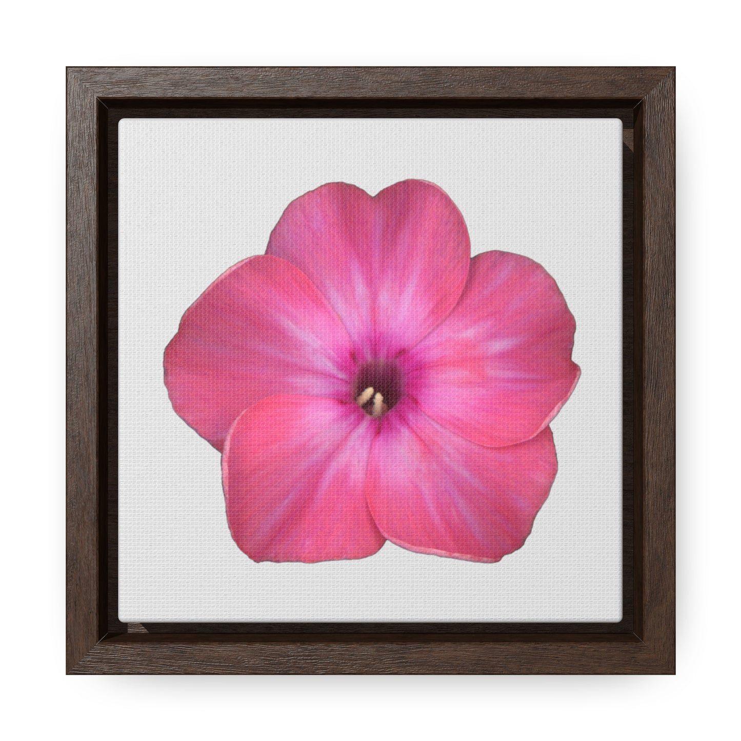 Phlox Flower Detail Pink | Framed Canvas | Silver Background