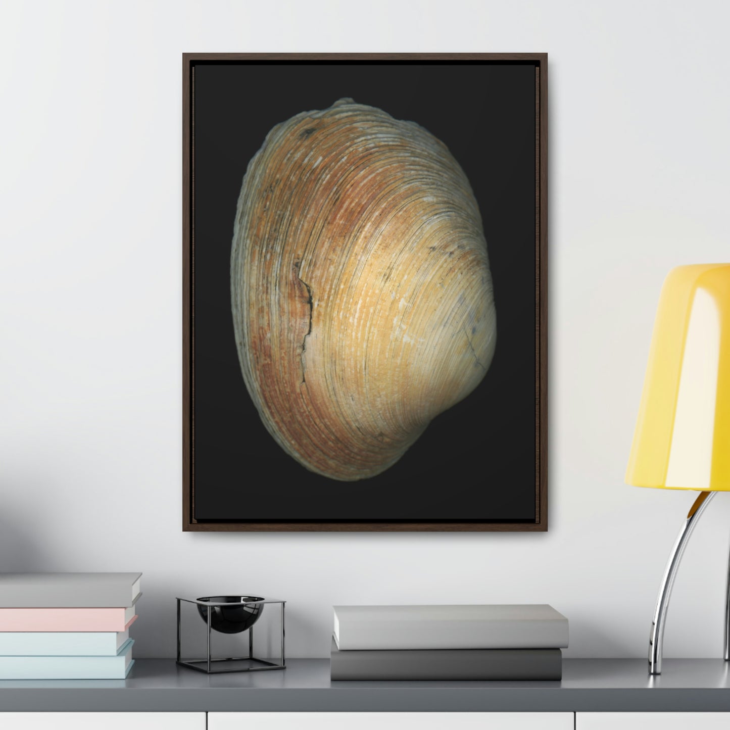 Quahog Clam Shell Purple Right Exterior | Framed Canvas | Black Background