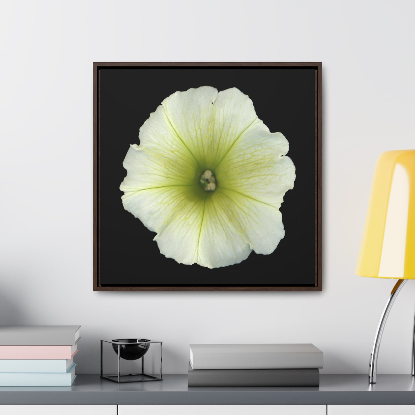 Petunia Flower Yellow-Green | Framed Canvas | Black Background