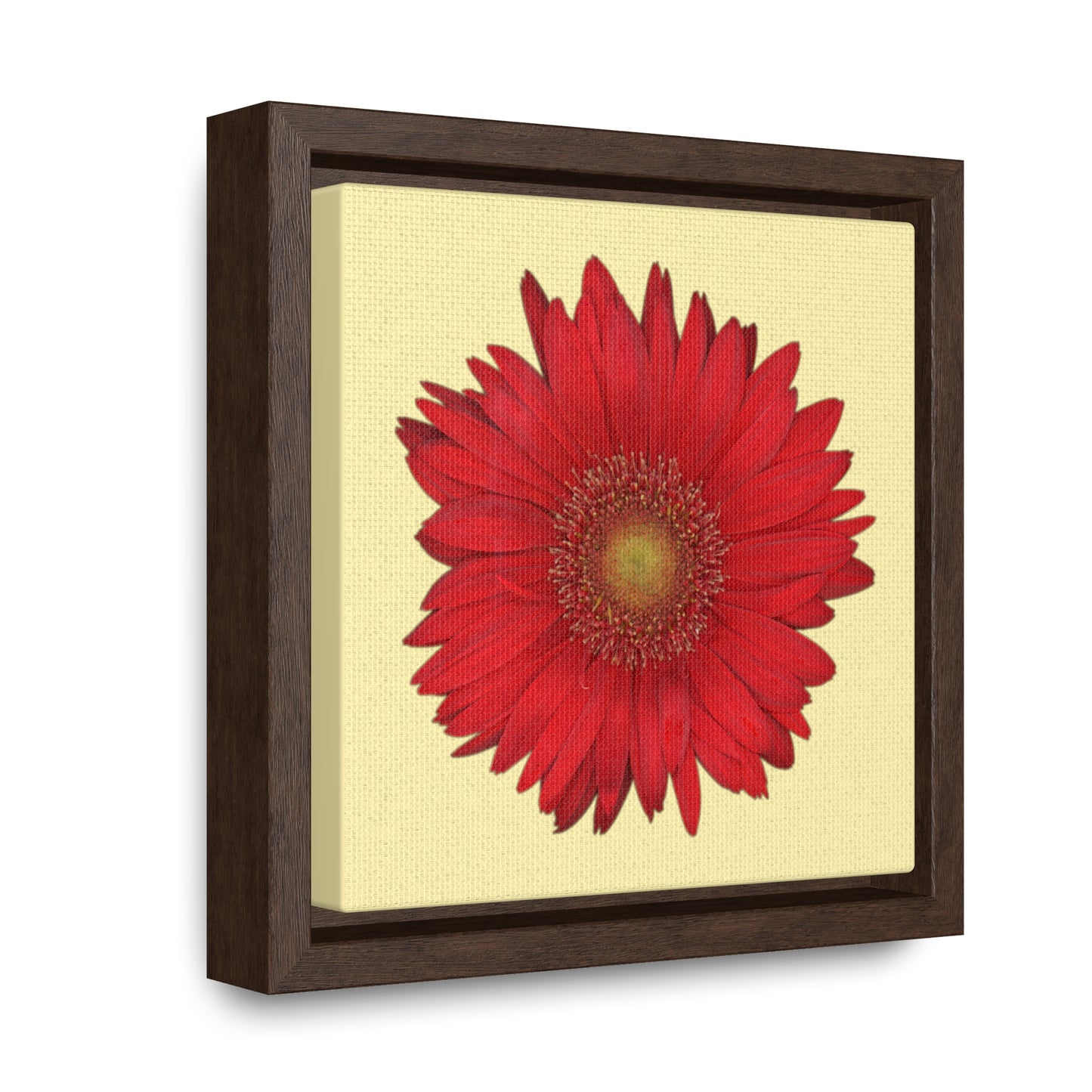 Gerbera Daisy Flower Red | Framed Canvas | Sunshine Background