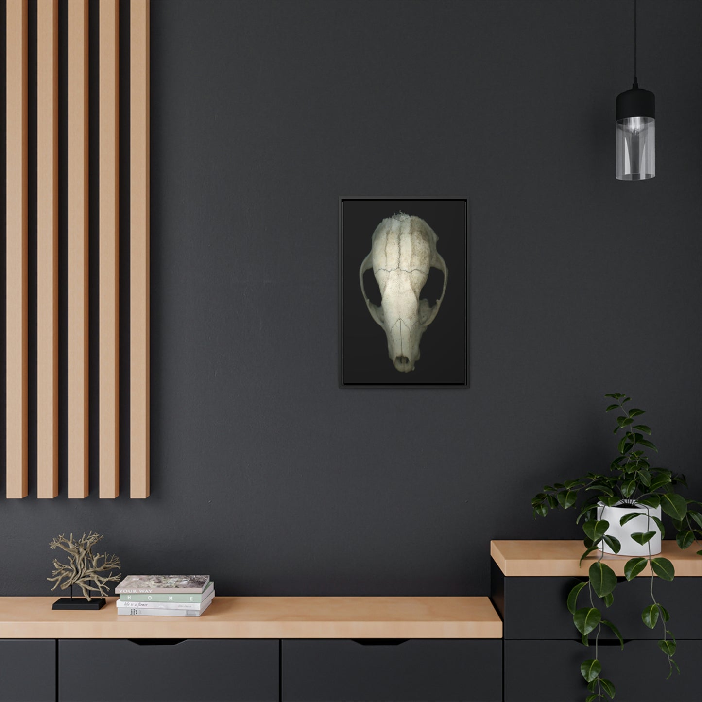 Raccoon Skull Superior by Matteo | Framed Wrap Canvas | Black Background