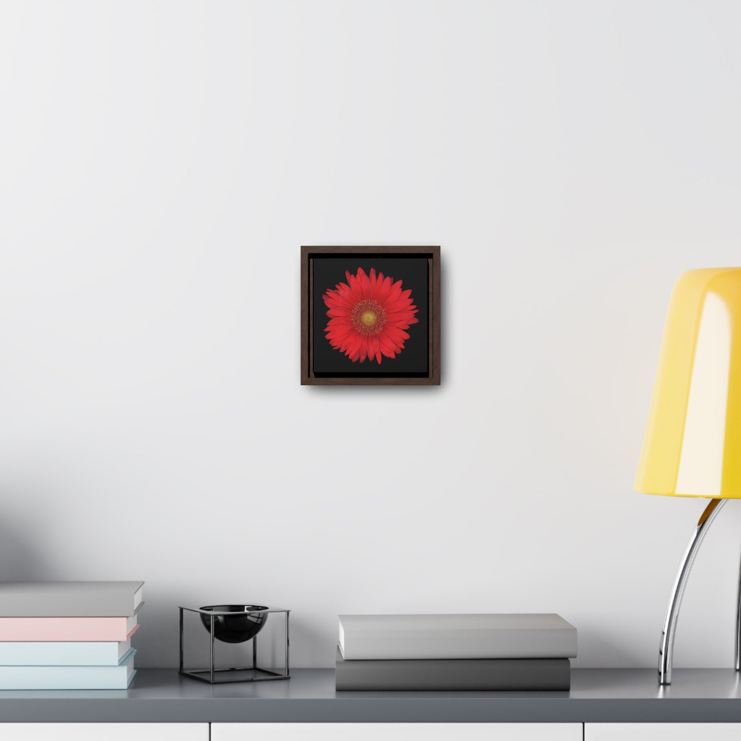 Gerbera Daisy Flower Red | Framed Canvas | Black Background