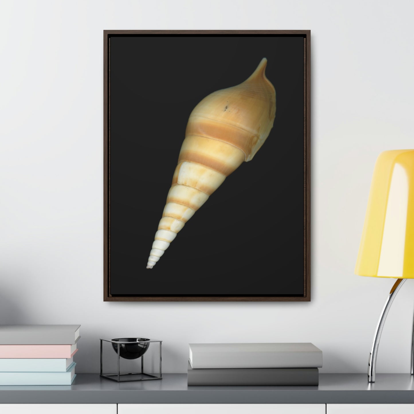 Turrid Shell Tan Dorsal | Framed Canvas | Black Background