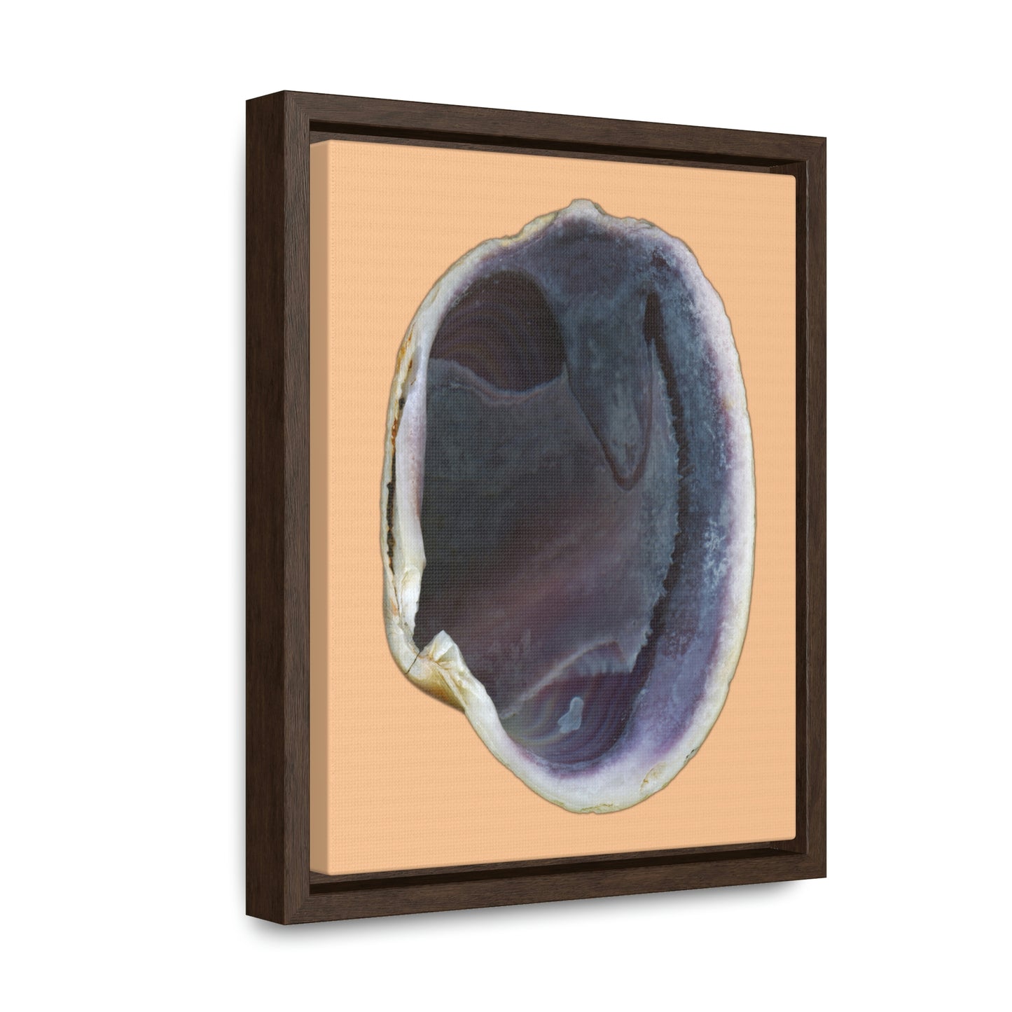 Quahog Clam Shell Purple Right Interior | Framed Canvas | Desert Tan Background