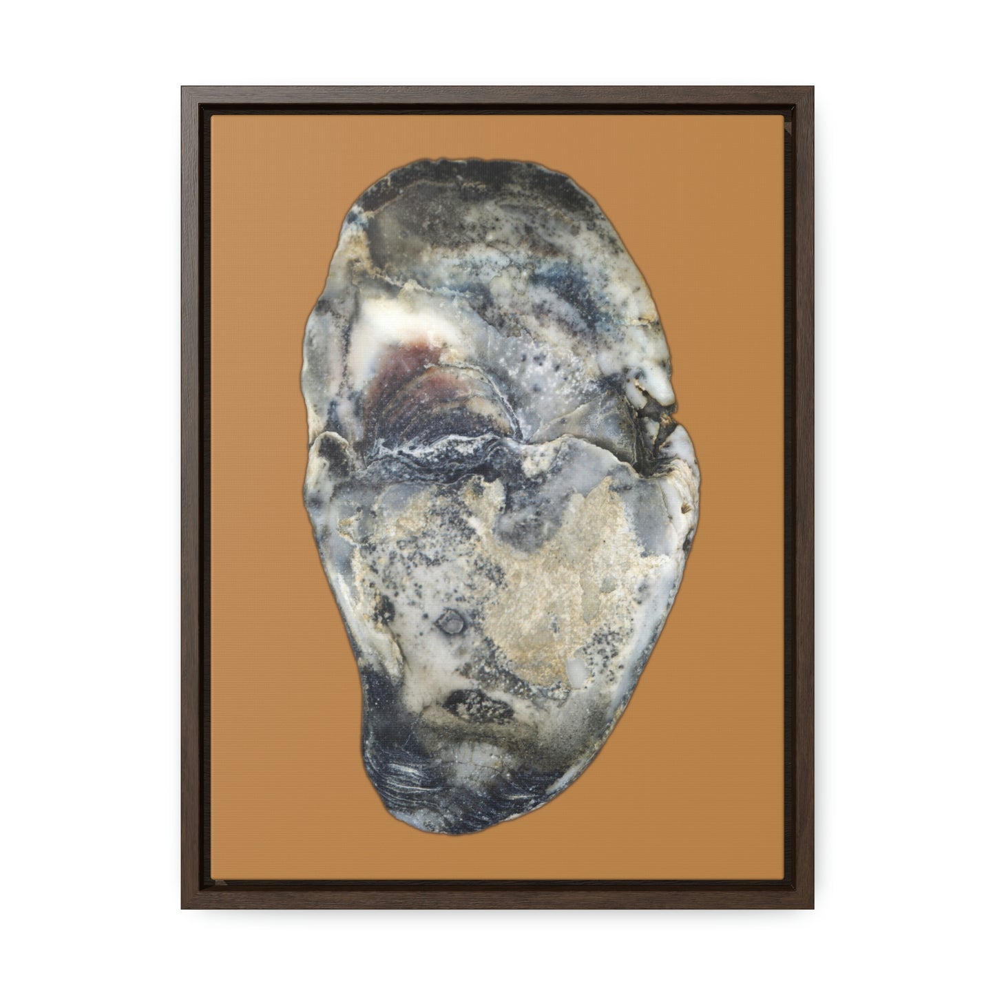 Oyster Shell Blue Right Interior | Framed Canvas | Camel Brown Background