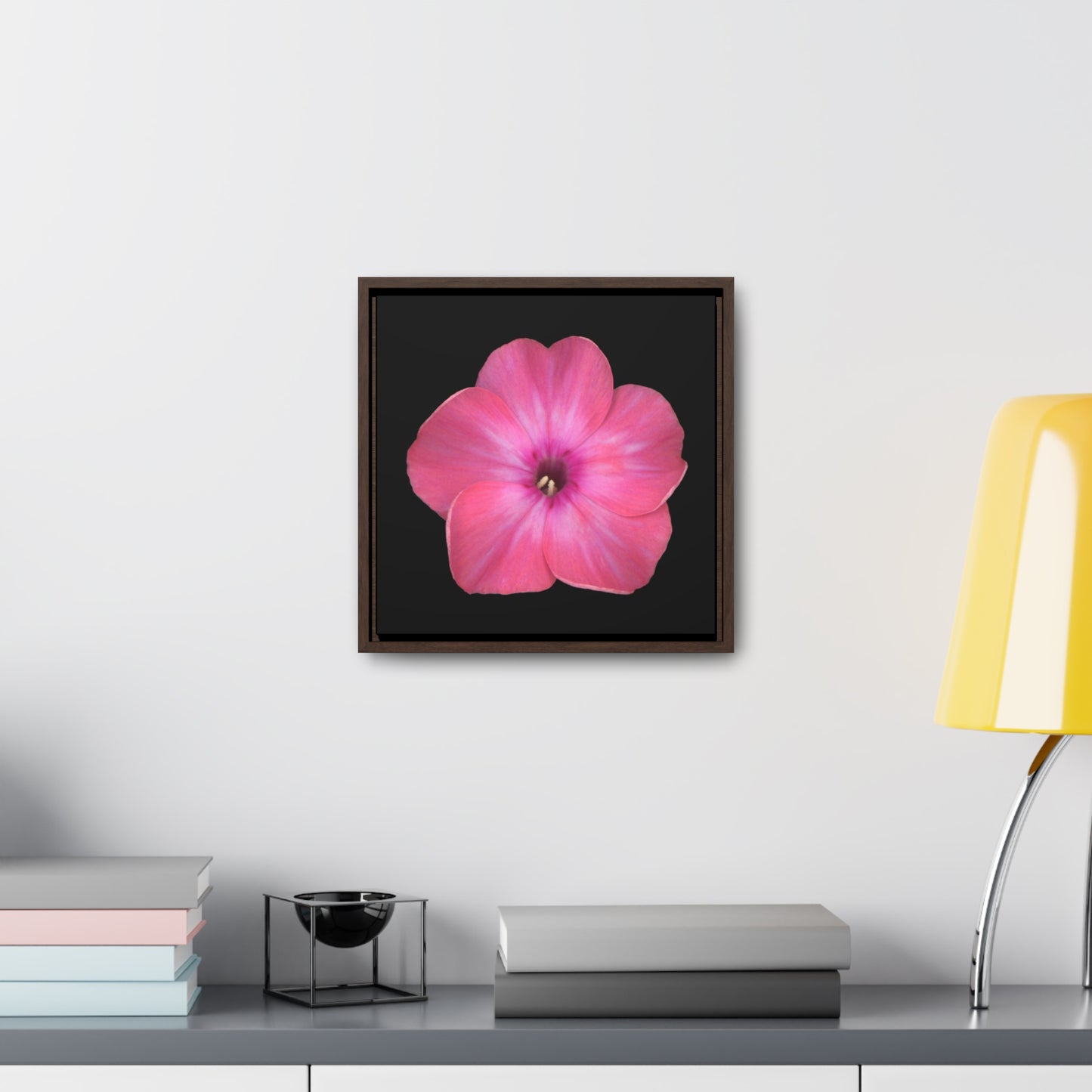 Phlox Flower Detail Pink | Framed Canvas | Black Background