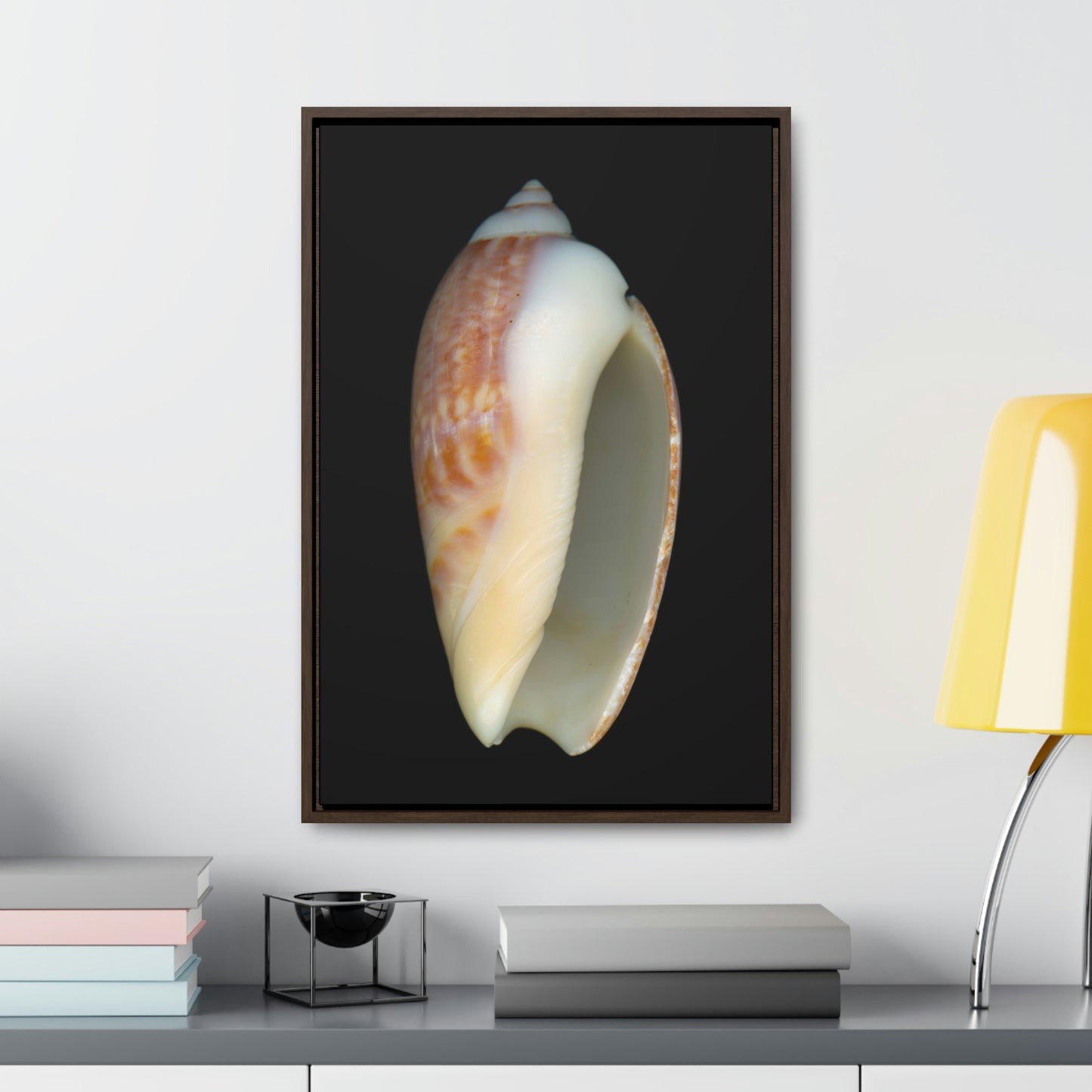 Olive Snail Shell Brown Apertural | Framed Canvas | Black Background