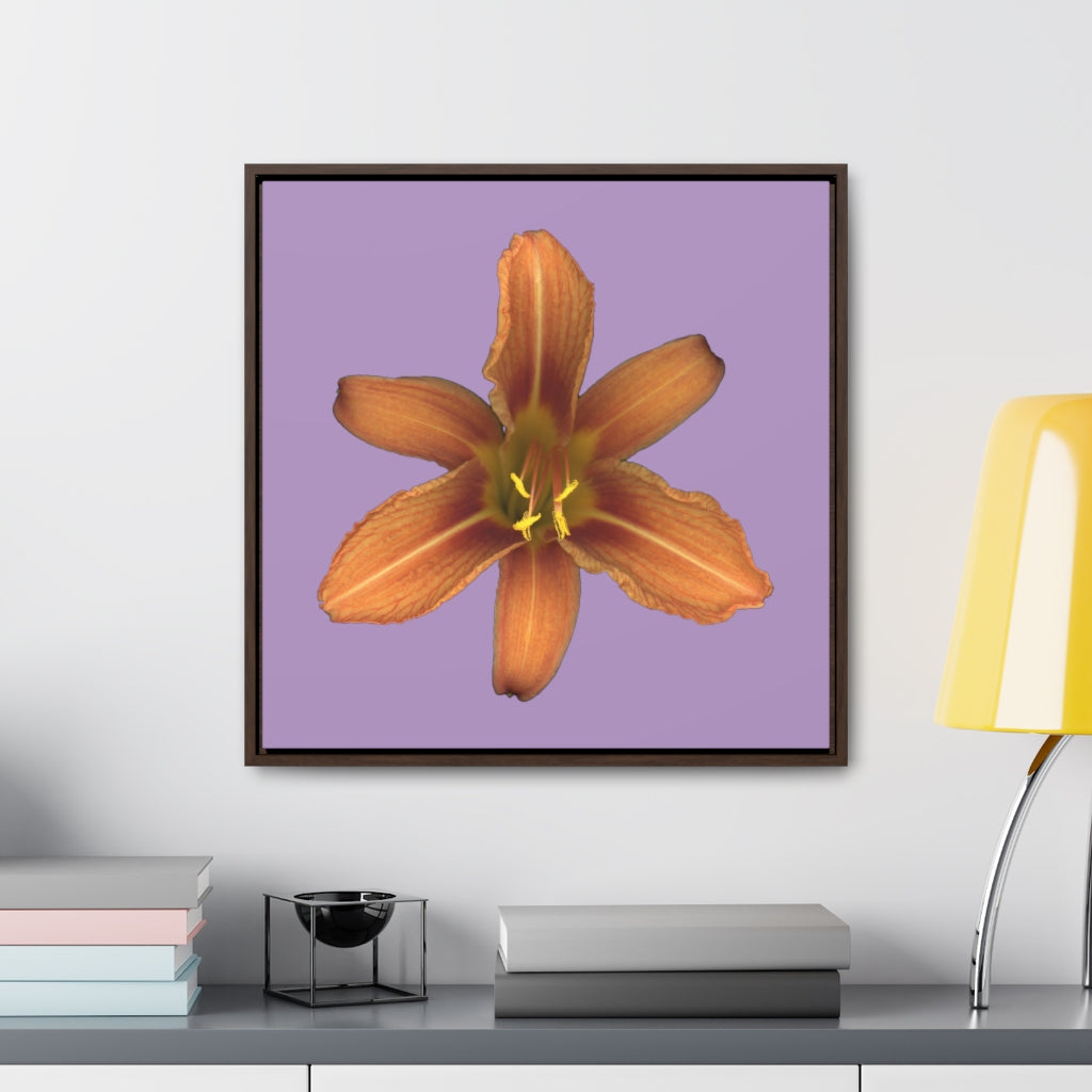 Orange Daylily Flower | Framed Canvas | Lavender Background