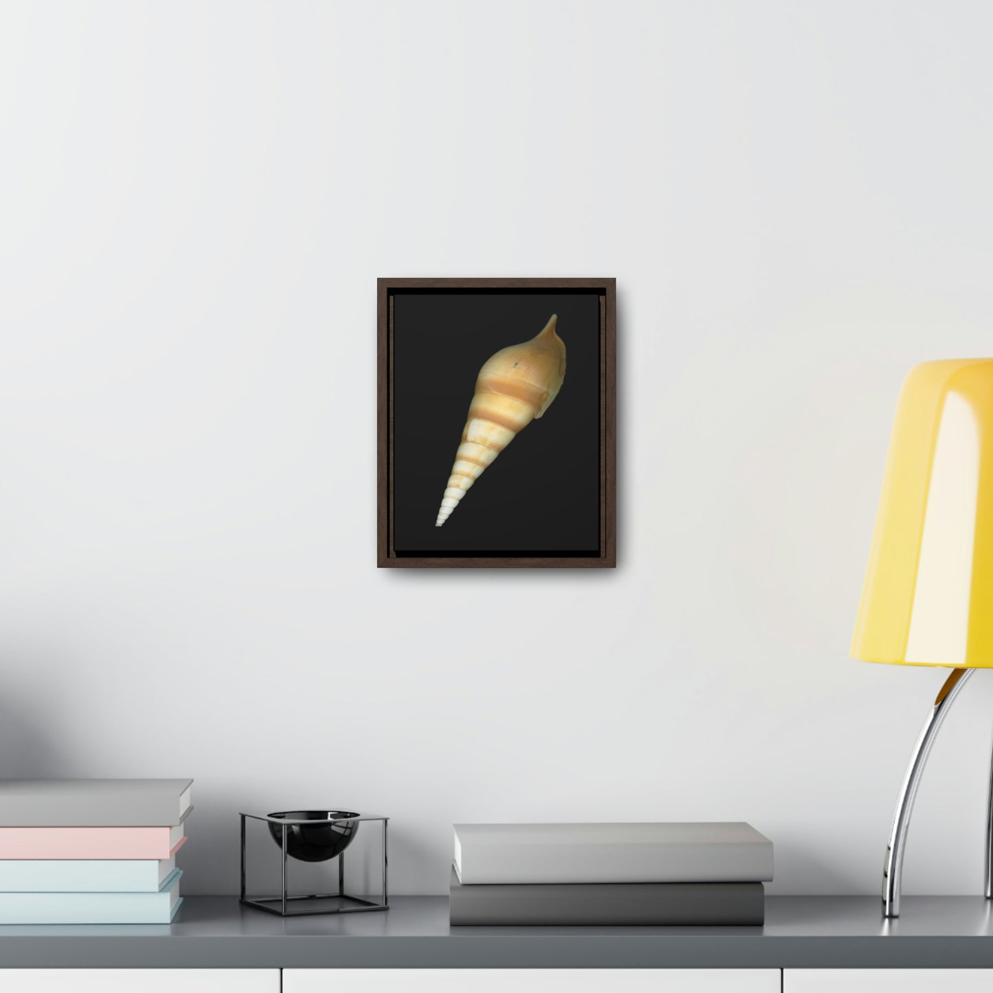 Turrid Shell Tan Dorsal | Framed Canvas | Black Background