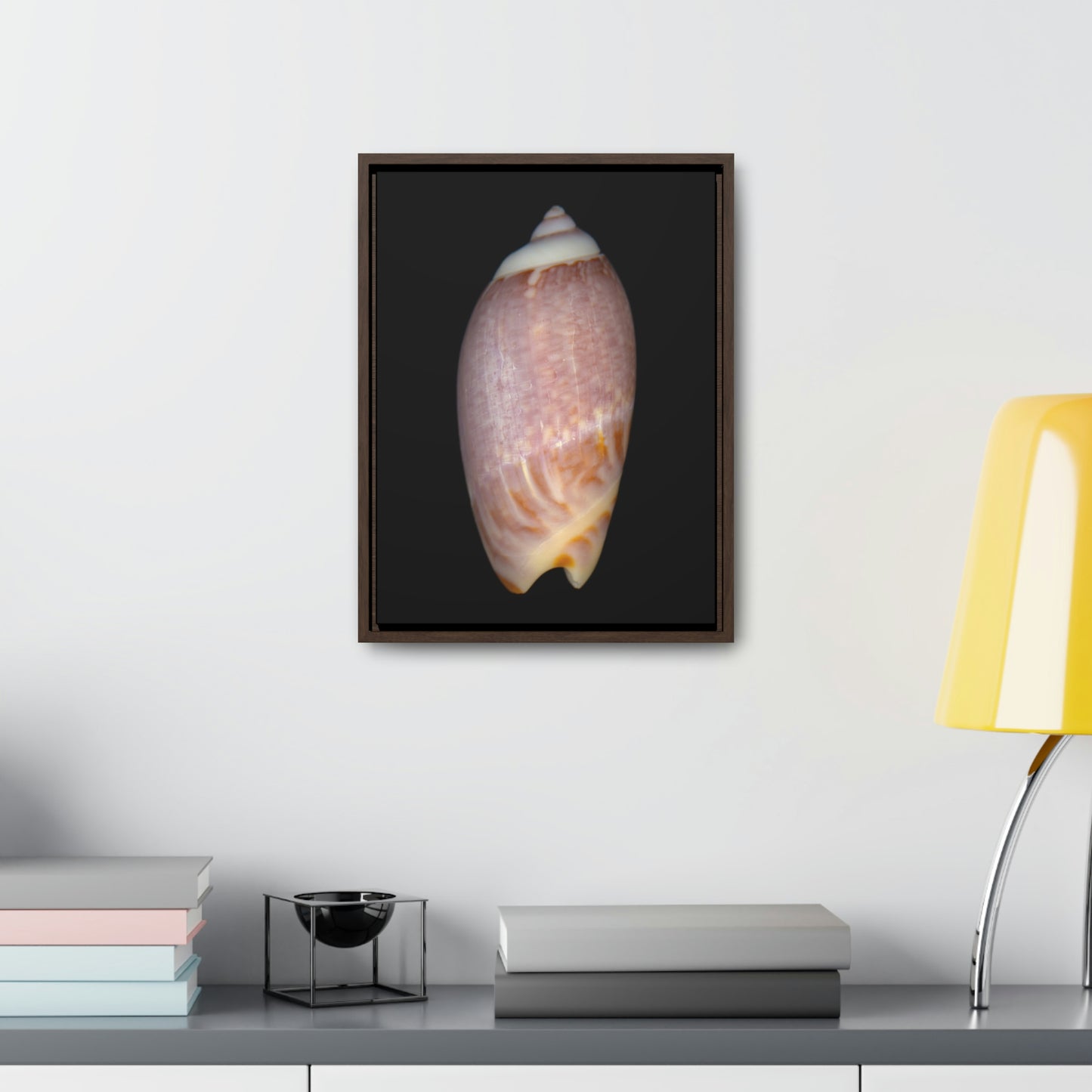 Olive Snail Shell Brown Dorsal | Framed Canvas | Black Background