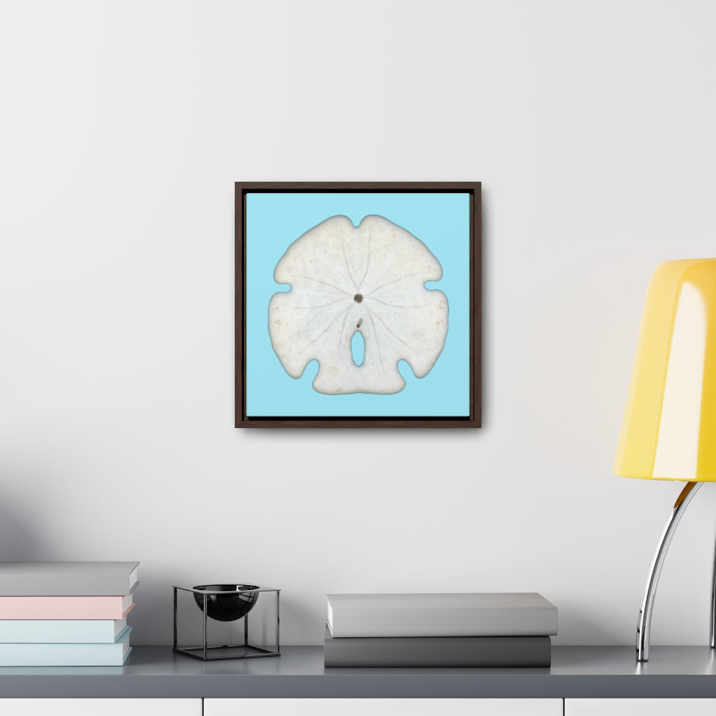 Arrowhead Sand Dollar Shell Bottom | Framed Canvas | Sky Blue Background