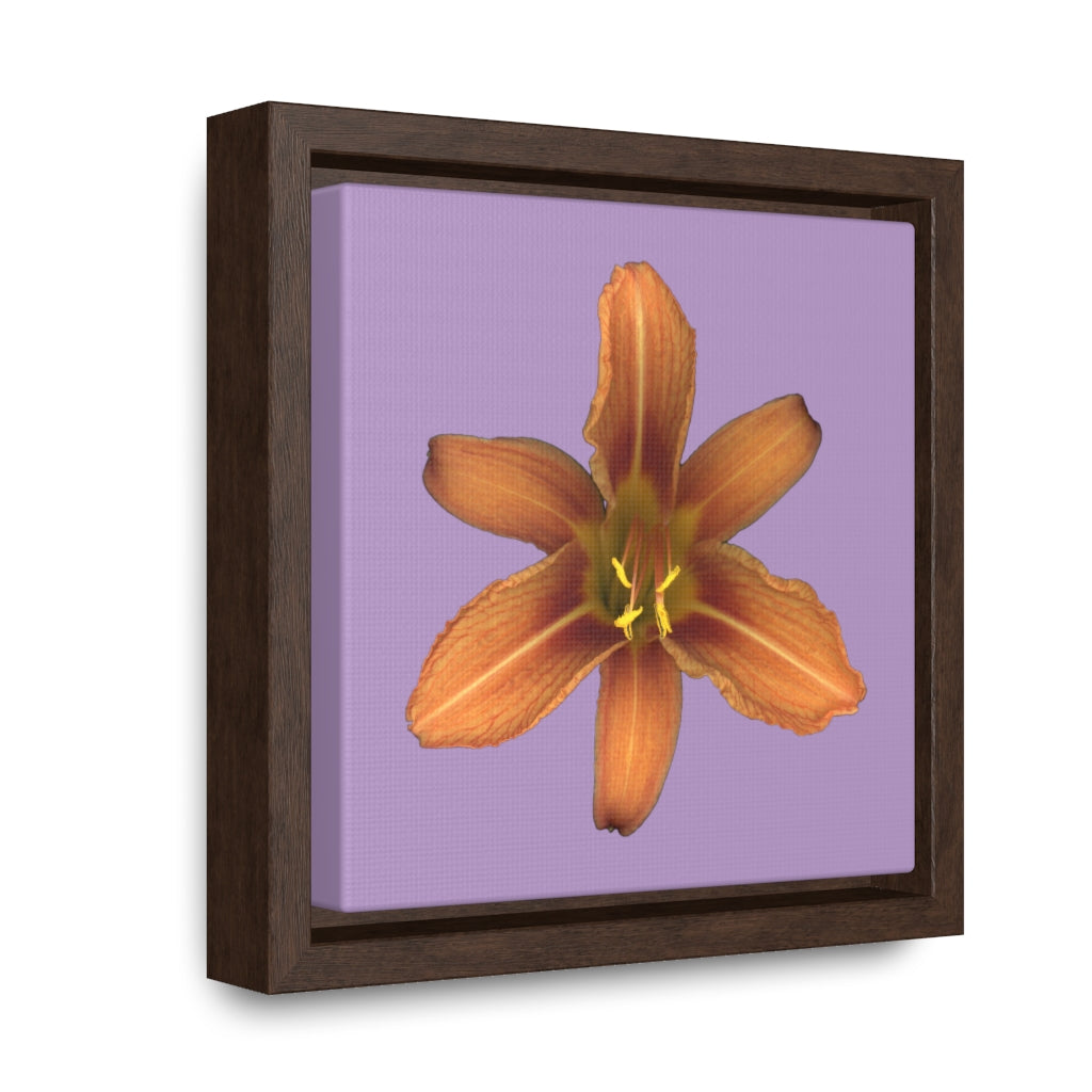 Orange Daylily Flower | Framed Canvas | Lavender Background