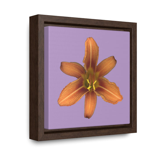 Orange Daylily Flower | Framed Canvas | Lavender Background